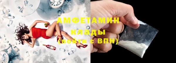 шишки Абаза