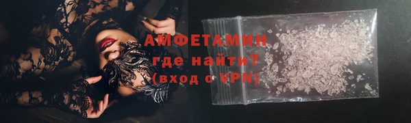 шишки Абаза