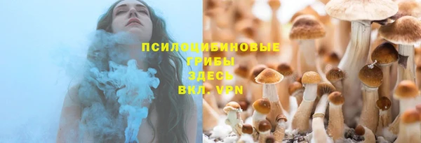 шишки Абаза