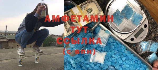 шишки Абаза