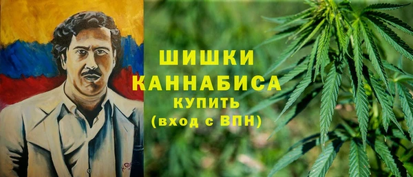 шишки Абаза