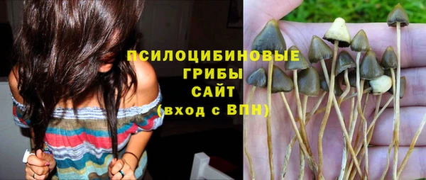 ешки Переславль-Залесский