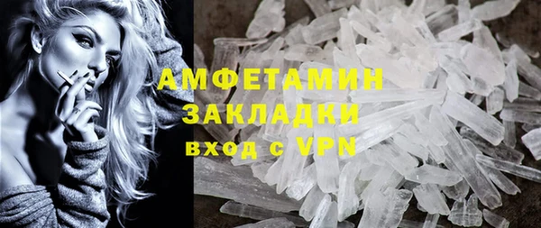 шишки Абаза